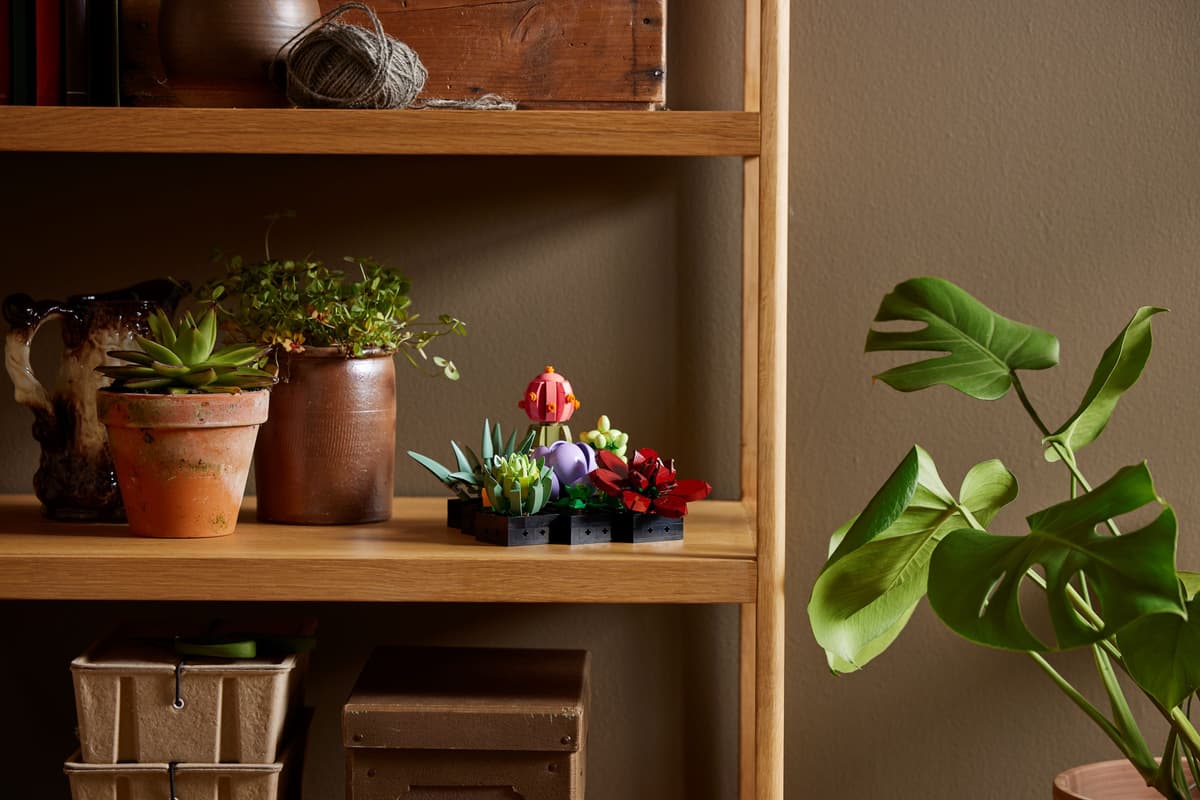 LEGO Plante suculente - imagine 4