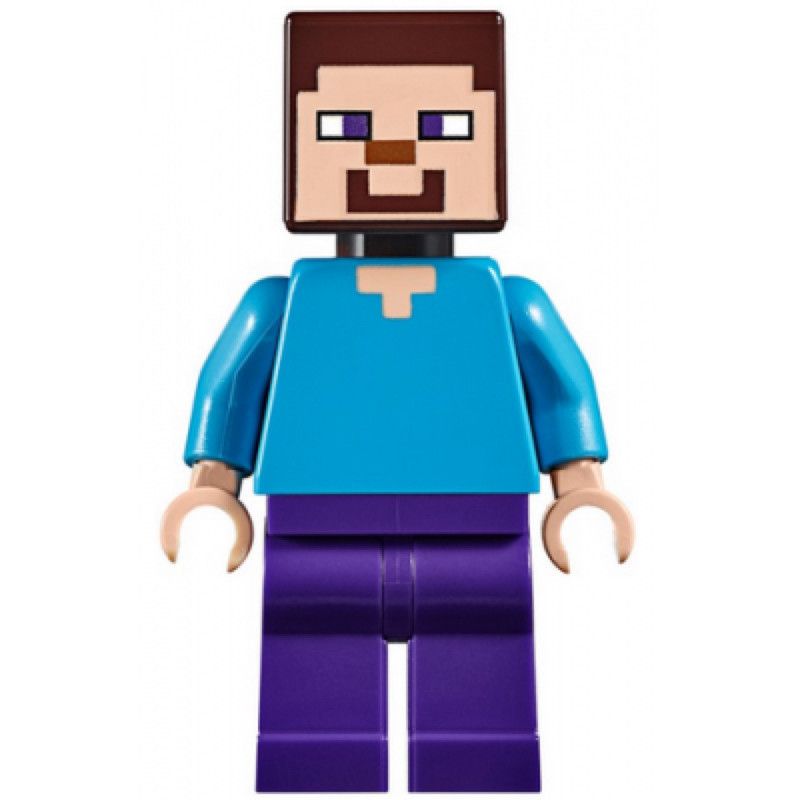 LEGO Minecraft Steve (min009)