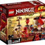 - LEGO Monastery Training (desigilat)